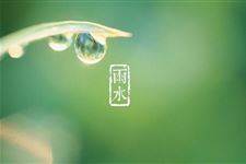 关于雨水节气农谚大全