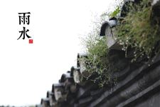 雨水节气谚语大全