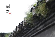 雨水节气-农谚