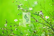 2016年春分短信