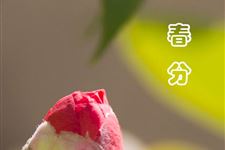 2016年春分天气