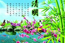 2016年清明节的节日问候短信