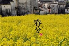 春分是什么意思?春分是什么时候?春分的意义