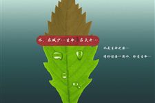 2016年“世界水日”的宣传主题