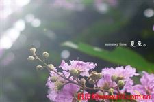 夏至是什么意思