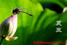 夏至金华吃什么