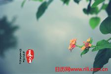 夏至节气的气候特点