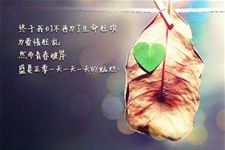 网络情人节情诗5首精选!