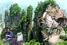 端午节习俗:采药