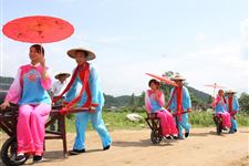 六月六是什么节日,姑姑节相关节日
