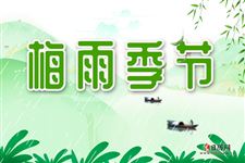 梅雨季节的诗