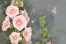 2016年夏至准确时间:6月21日6时34分