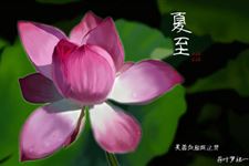 描写春去夏至的诗词:汉宫春·春去夏至