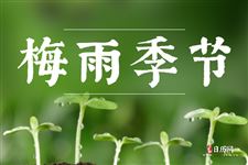 梅雨天气家里怎么防潮，莫让梅雨变霉雨