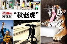 秋老虎是什么时候,秋老虎是几月