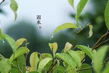 雨水节气养生三要点