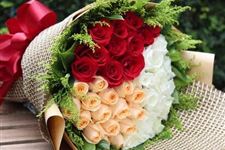123朵玫瑰代表什么,123朵玫瑰的含义