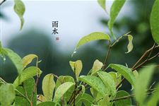 雨水节气各地农事