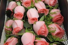 27朵玫瑰代表什么,27朵玫瑰花语:爱妻