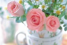 20朵玫瑰花语,20朵玫瑰代表什么?