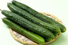 立夏时节蔬菜农事