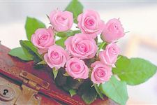 9朵玫瑰代表什么,九朵玫瑰花语