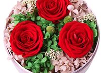 3朵玫瑰代表什么,3朵玫瑰的花语