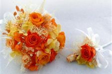 橙色玫瑰花语,橙色玫瑰象征着什么?