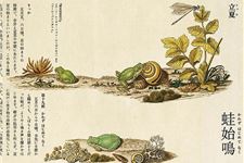 日本七十二物候:立夏三候