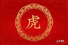 属虎的年份:1986,1998,2010,2022