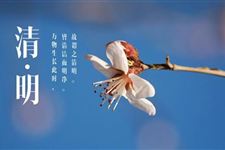 看历代文人墨客诗下清明