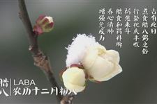腊八节可以过生日吗?腊八节过生日好吗?