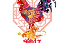 本命年的禁忌与注意事项,2017鸡年本命年全解