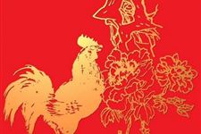 生肖鸡的本命年犯太岁要注意什么?