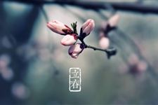 本命年从什么时候开始算?本命年应该注意什么?