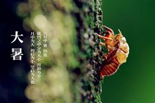2017年-2036年大暑时间表