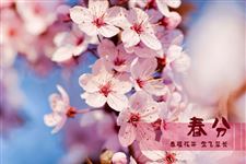 2017年-2036年春分时间表