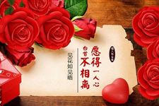 2017情人节送花寓意及攻略:2月14情人节送什么花送几朵花?