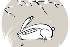 属兔的人2017年运程,各年份属兔人2017每月运势详批