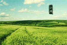 节气花事夏季篇:小满开什么花