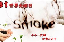2017年的世界无烟日的主题