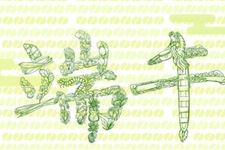 2017年端午节放假时间 端午节什么时候放假?