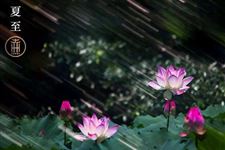 2017年关于夏至的来历