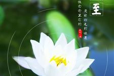 2017年夏至的谚语大全
