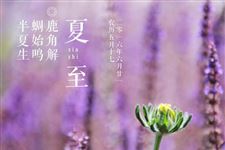 2017夏至节日祝福短信