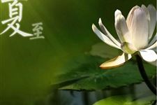 夏至的习俗有哪些