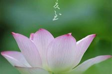 夏至风俗 夏至的风俗活动是什么