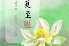 夏至节气各地习俗有哪些?