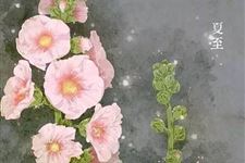 夏至的由来和习俗