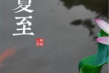 夏至由来和习俗 夏至的习俗有哪些